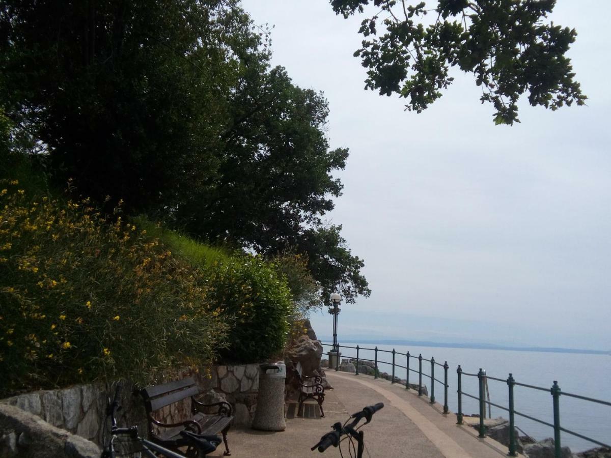 Villa Zajednica Icici Luaran gambar